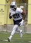 titans_murray_football_00286.jpg
