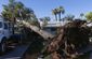 arizona_storms_37452.jpg