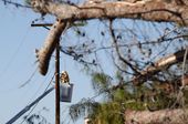 arizona_storms_86295.jpg