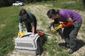 eagle_rescued_93816.jpg