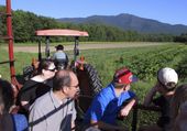 farm_dinners_06901.jpg