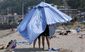 pacific_northwest_heat_28213.jpg