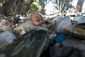 brazil_rio_filthy_water_30051.jpg