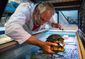 exchange-turtle_haven_07046.jpg