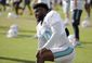 dolphins_landry_investigation_football_71585.jpg