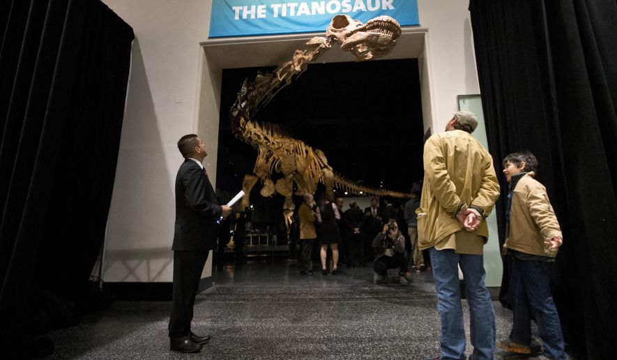 File-This Jan. 14, 2016, file photo shows visitors to the American Museum of Natural History examining a replica of a 122-foot-long dinosaur on display at the American Museum of Natural History in New York. A study proclaims a newly named species the heavyweight champion of all dinosaurs. The plant-eating giant is the largest of a group of dinosaurs called titanosaurs (tye-TAN’-u-sawr). At 76 tons (69 metric tons), the behemoth was as heavy as a space shuttle. A scientific paper released Tuesday, Aug. 8, 2017, describes and dates the fossils found in southern Argentina in 2012. A skeleton of the dinosaur is already on display at the American Museum of Natural History in New York. (AP Photo/Mary Altaffer, File)