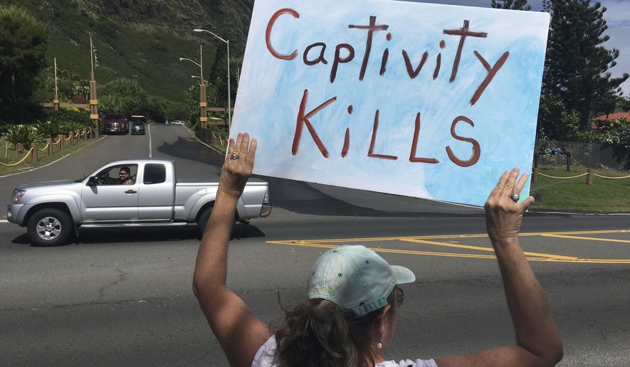 In this May 13, 2017 photo, an activist holds a sign during a protest outside Sea Life Park in Waimanalo, Hawaii. A marine mammal that has contributed to groundbreaking science for the past 30 years is again making waves after being sold to the marine amusement park in Hawaii. Kina is a false killer whale, a large member of the dolphin family. Animal-rights activists say she deserves a peaceful retirement in an ocean-based refuge but is instead being traumatized by confinement in concrete tanks at Sea Life Park. But Kina's former Navy trainer and a longtime marine mammal researcher say no such sea sanctuaries exist, and the park is the best place for the 40-year-old toothy cetacean. (AP Photo/Caleb Jones)