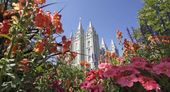 mormon_leader_removed_68504.jpg