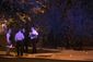 chicago_violence_72132.jpg