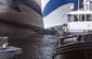 cruise_ship_dead_whale_70188.jpg
