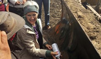 FILE - In this Sept. 6, 2016, file photo, Green Party presidential candidate Jill Stein prepares to spray-paint &amp;quot;I approve this message&amp;quot; in red paint on the blade of a bulldozer at a protest against the Dakota Access Pipeline in the area of Morton County, N.D. Stein has reached a plea agreement with prosecutors to resolve criminal charges filed against her in North Dakota nearly a year ago for protesting the Dakota Access oil pipeline, court records show. (Alicia Ewen/KX News via AP, File)