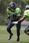 seahawks_football_71584.jpg