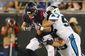 texans_panthers_football_13297.jpg