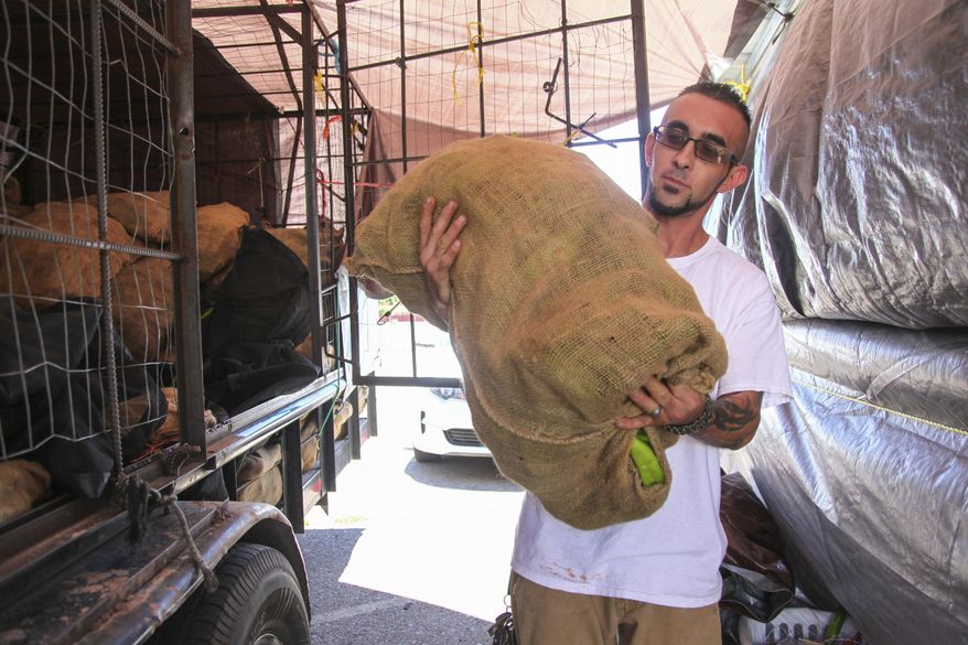 In this Aug. 9, 2017, photo, Matt Flores helps out the family business, Los Chile Bros outside Big Lots in Santa Fe, N.M. For the Duran family of Taos, the beginning of the chile-roasting season in Santa Fe is a time to renew ties with longtime customers and familial legacies that span generations. (Gabriela Campos/Santa Fe New Mexican via AP)