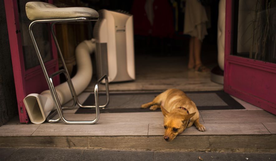 FILE - In this July 13, 2017 file photo, a dog rests next to an air conditioner vent placed in a clothes shop during a hot summer day in Madrid. Earth sizzled to yet another all-time heat record last month.The National Oceanic and Atmospheric Administration (NOAA) said Thursday, Aug. 17, 2017, that Earth’s land surfaces in July were the hottest since record keeping began in 1880. (AP Photo/Francisco Seco, File)
