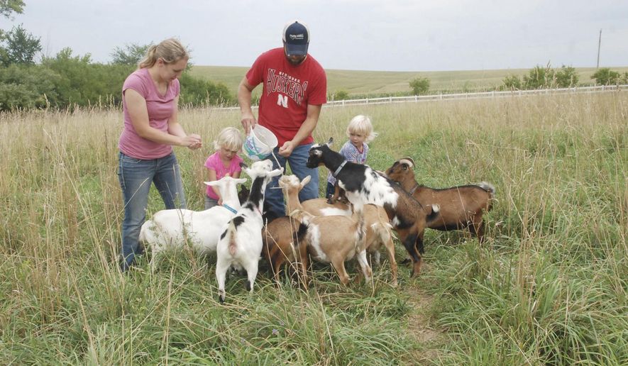 Angie and Blake Meyer and their twin daughters, Adalene and Ainsley, feed goats on their acreage near Lyons, Neb. About a year ago, Angie and her mother, Beth Reisz of Creighton, started making goat's milk soap, a project that's morphed into other products. (Tammy Real-McKeighan/The Tribune via AP)