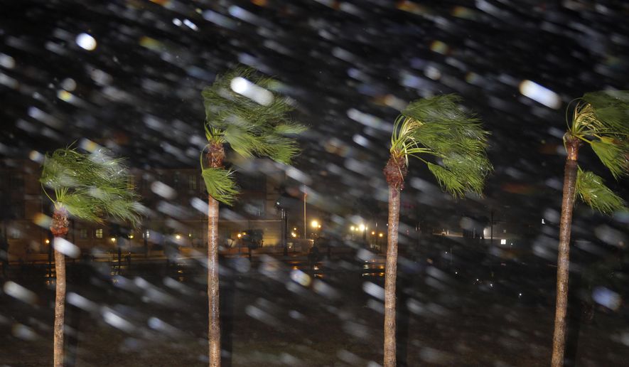 Rain is blown past palm trees as Hurricane Harvey makes landfall, Friday, Aug. 25, 2017, in Corpus Christi, Texas. Harvey intensified into a hurricane Thursday and steered for the Texas coast with the potential for up to 3 feet of rain, 125 mph winds and 12-foot storm surges in what could be the fiercest hurricane to hit the United States in almost a dozen years. (AP Photo/Eric Gay)