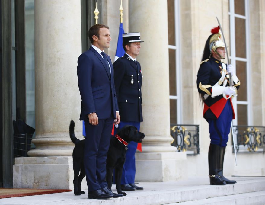 France's President Emmanuel Macron waits on the steps of the Elysee Palace, with his newly adopted dog, a labrador crossed griffon named Nemo, as he prepares to welcome the President of Niger Mahamadou Issoufou, in Paris, France, Monday, Aug. 28, 2017. The leaders of France, Germany, Italy and Spain are meeting with African counterparts to find ways to curb illegal migration across the Mediterranean to European shores. (AP Photo/Francois Mori)
