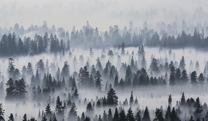 In this Sunday, Aug. 27, 2017, photo, smoke from a wildfire west of Sisters, Ore., blankets the Deschutes National Forest. Firefighters in southern Oregon on Tuesday, Aug. 29, gained a toehold on a fire burning near the coastal town of Brookings but new evacuations were ordered after a flare-up on a different complex of lightning-caused fires in a remote area near the California border. (Fedor Zarkhin/The Oregonian via AP)