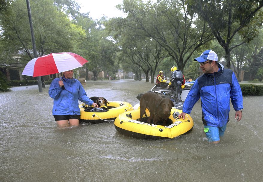 FILE - In this Aug. 28, 2017 file photo, residents and pets are evacuated from their homes as floodwaters from Tropical Storm Harvey rise in Houston. Animal Planet is airing a special Saturday night called "Surviving Harvey: Animals After the Storm." The program airs Saturday at 8 p.m. on the East and West coasts. (Godofredo A. Vasquez/Houston Chronicle via AP, File)