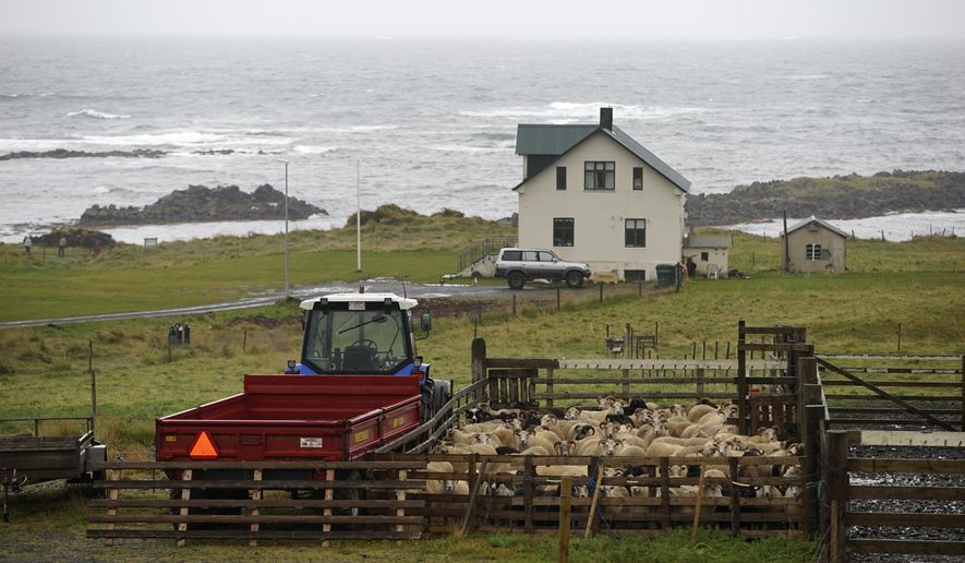 In this photo taken Monday, Sept. 4, 2017, the Illugastadir farm, where a chilling double murder took place 187 years ago, near Hvammstangi village, northwestern Iceland. The murders has haunted Icelanders for nearly 2 centuries. Now it will be in court once more in a mock proceeding that may shed light on the motivation and the circumstances surrounding the macabre case that led to Iceland’s last executions. (AP Photo/Egill Bjarnason)
