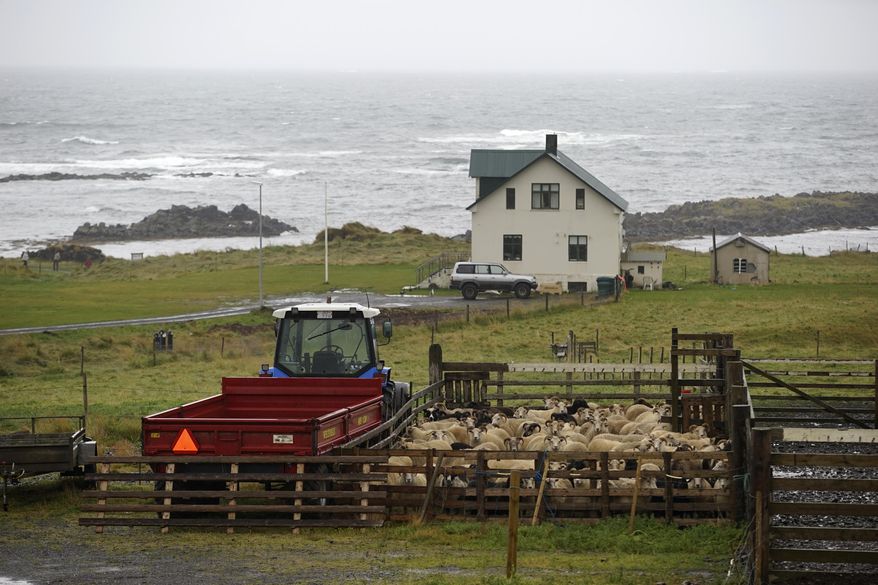 In this photo taken Monday, Sept. 4, 2017, the Illugastadir farm, where a chilling double murder took place 187 years ago, near Hvammstangi village, northwestern Iceland. The murders has haunted Icelanders for nearly 2 centuries. Now it will be in court once more in a mock proceeding that may shed light on the motivation and the circumstances surrounding the macabre case that led to Iceland’s last executions. (AP Photo/Egill Bjarnason)
