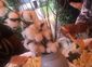 cotton centerpieces.jpg