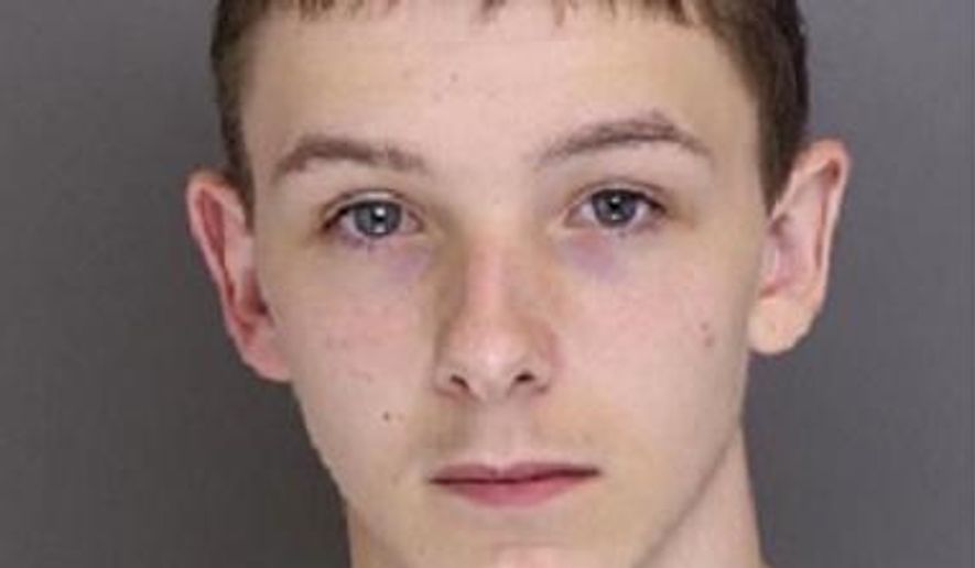 Timothy Allen Staples is shown in an undated photo provided by the Baltimore County Police. Staples, 17, and Tyler James Getz, 18, have been charged with shooting cars that drove through a Sparks, Md. neighborhood during the course of an hour on Aug. 24. Police in Baltimore County said Wednesday, Sept. 20, 2017 that both face counts of assault, reckless endangerment and malicious destruction of property. (Baltimore County Police via AP)