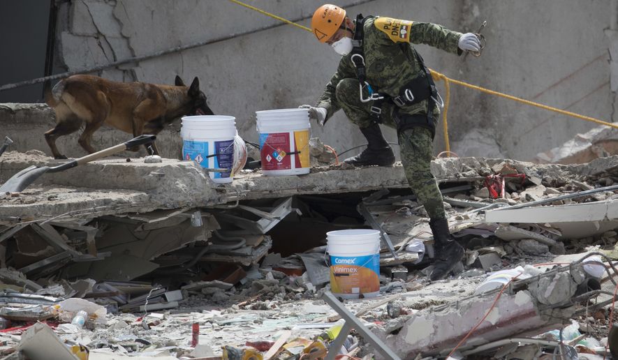 A Mexican soldier guides his rescue dog on a felled office building brought down by a 7.1-magnitude earthquake, in the Roma Norte neighborhood of Mexico City, Sunday, Sept. 24, 2017. As rescue operations stretched into day 6, residents throughout the capital have held out hope that dozens still missing might be found alive. (AP Photo/Moises Castillo)