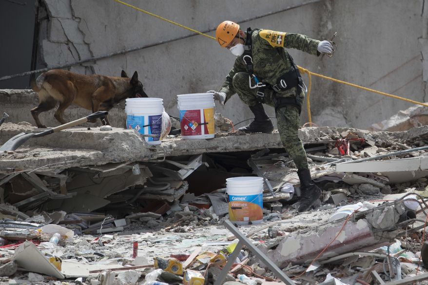 A Mexican soldier guides his rescue dog on a felled office building brought down by a 7.1-magnitude earthquake, in the Roma Norte neighborhood of Mexico City, Sunday, Sept. 24, 2017. As rescue operations stretched into day 6, residents throughout the capital have held out hope that dozens still missing might be found alive. (AP Photo/Moises Castillo)