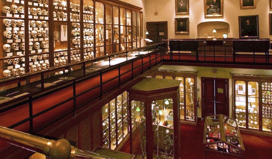 FILE – This July 12, 1999, file photo shows a portion of the two floors of the Mutter Museum, a medical museum in Philadelphia. Australian politician Lynda Voltz is pushing for the Mutter Museum to return the skull of an unknown Australian soldier shot and killed in World War I, and the museum said Friday, Sept. 29, 2017, it's in talks with the Australian Army but can't comment on whether the skull will be returned. (AP Photo/Rusty Kennedy, File)