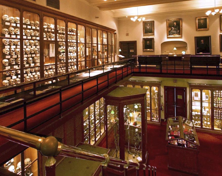 FILE – This July 12, 1999, file photo shows a portion of the two floors of the Mutter Museum, a medical museum in Philadelphia. Australian politician Lynda Voltz is pushing for the Mutter Museum to return the skull of an unknown Australian soldier shot and killed in World War I, and the museum said Friday, Sept. 29, 2017, it's in talks with the Australian Army but can't comment on whether the skull will be returned. (AP Photo/Rusty Kennedy, File)