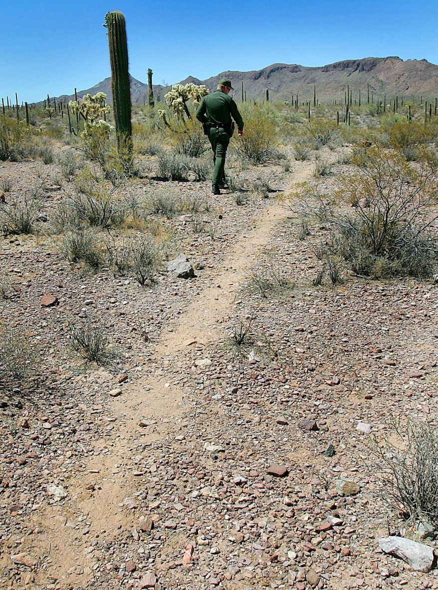 A U.S. Border Patrol agent surveys a trail cut by illegal immigrants in Organ Pipe Cactus National Monument. The number of agents in Arizona doubled from 2004 to 2014. (Associated Press)