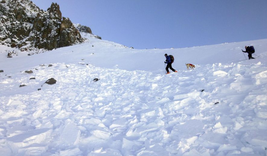 In this Monday, Oct. 9, 2017, photo provided by the The Gallatin National Forest Avalanche Center, search and rescue volunteers, along with an avalanche dog, search debris in an avalanche field for a missing skier on Imp Peak in the southern Madison Range in southwestern Montana. A woman's body was recovered after two skiers triggered the weekend avalanche that fully buried the woman and partially buried a man. (The Gallatin National Forest Avalanche Center via AP)