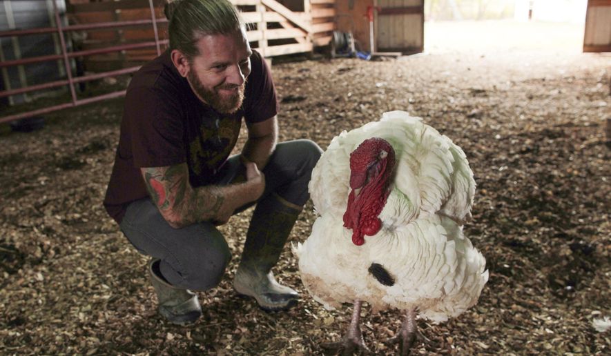 ADVANCED FOR RELEASE SATURDAY, OCTOBER 14, 2017 Jered Camp greets a rescued turkey at the Iowa Farm Sanctuary, Wednesday, Sept. 27, 2017, in Marengo, Iowa. The sanctuary works to rescue animals that were once meant to be slaughtered. (David Scrivner/Iowa City Press-Citizen via AP)