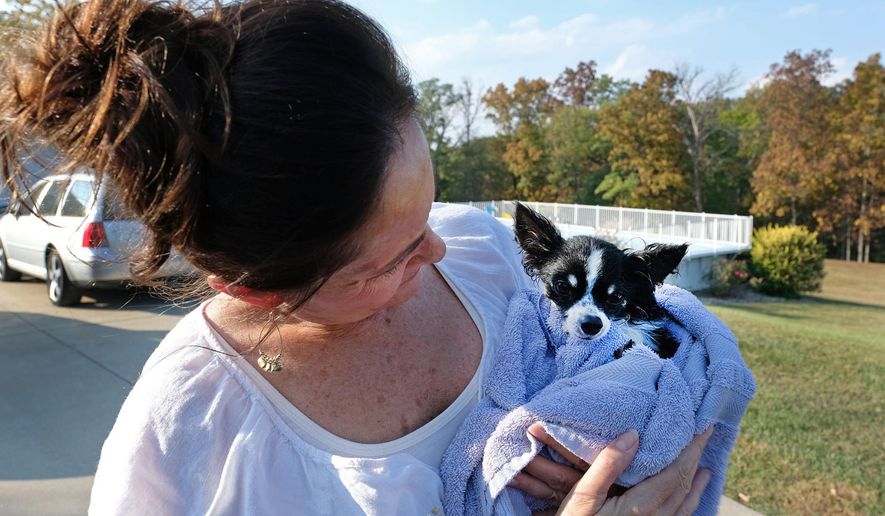 In this Oct. 9, 2017 photo, Tammi Craig founder of Gunners Run Rescue, dries off Monte, a  rescued dog, after doing some hydrotherapy with him at her home outside of Ruma, Ill. Craig said she places in a year as many dogs as some rescue organizations place in a month. Nevertheless, she said she has kept up with the exhausting and emotionally draining work out of a love of animals and to satisfy her need to do something, however small, to help make the world a bit brighter. (Byron Hetzler /The Southern, via AP)