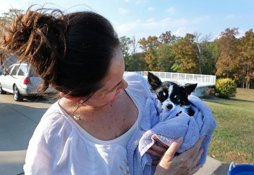 In this Oct. 9, 2017 photo, Tammi Craig founder of Gunners Run Rescue, dries off Monte, a rescued dog, after doing some hydrotherapy with him at her home outside of Ruma, Ill. Craig said she places in a year as many dogs as some rescue organizations place in a month. Nevertheless, she said she has kept up with the exhausting and emotionally draining work out of a love of animals and to satisfy her need to do something, however small, to help make the world a bit brighter. (Byron Hetzler /The Southern, via AP)