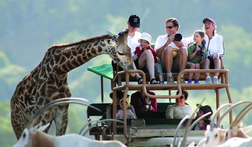 Visitors to Safari West in Northern California experience an African Safari on the West Coast. The most recent wildfires threatened the preserve and its 1,000 animals; however, staff say all animals are accounted for and safe. (Courtesy of Safari West)
