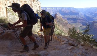 FILE - In this July 27, 2015, file photo, a long line of hikers head out of the Grand Canyon along the Bright Angel Trail at Grand Canyon National Park, Ariz. The National Park Service is floating a proposal to increase entrance fees at 17 of its most popular sites next year. (AP Photo/Ross D. Franklin, File)