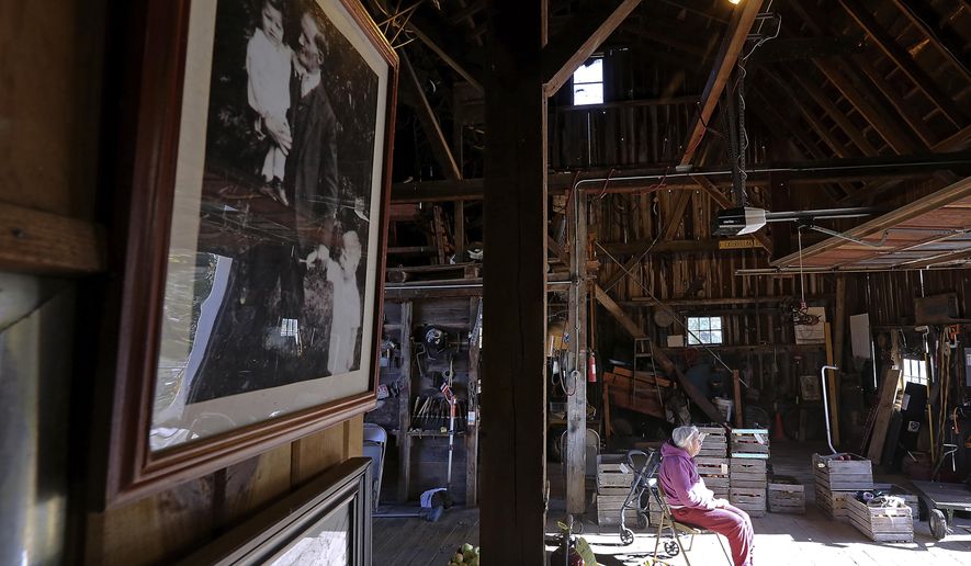 In a Thursday, Oct. 19, 2017 photo, a photograph of Ken and Genevieve Weston captured in their youth with their grandfather, William Marckwardt, hangs in at century-old barn Weston's Antique Apple Orchard in New Berlin, Wis. The siblings, now in their 80's, continue to operate the business started by their parents in 1936. (John Hart/Wisconsin State Journal via AP)