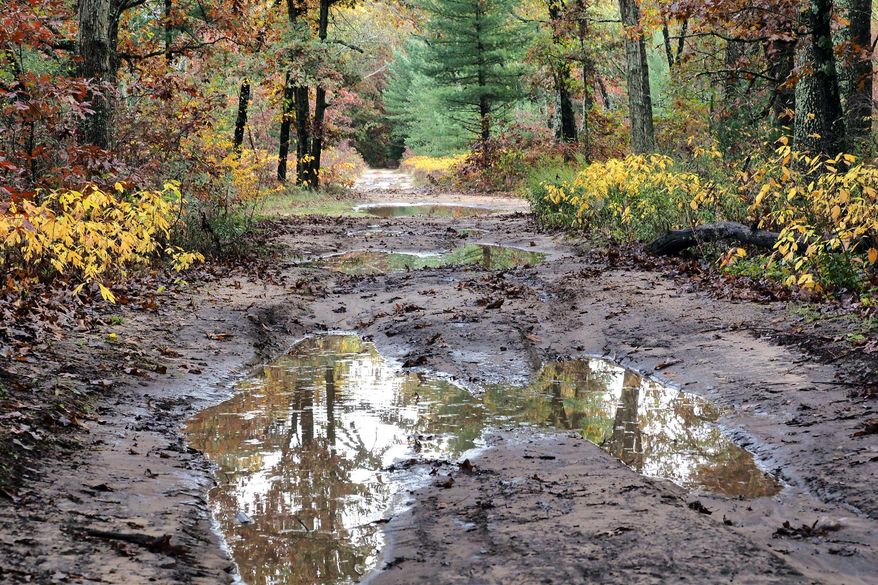 Allegan County Undersheriff Mike Larsen said a body was found Tuesday, Oct. 24, 2017, near 122nd Ave. and 46th Street, just west of Swan Creek Marsh in the Allegan State Game Area. Larsen declined to say if investigators believe it's the body of Theresa Lockhart, a high school Spanish teacher, who disappeared in May. But he says foul play is suspected. On the same day, Michael Lockhart was found dead in his Portage home. (Mark Bugnaski/Kalamazoo Gazette-MLive Media Group via AP)