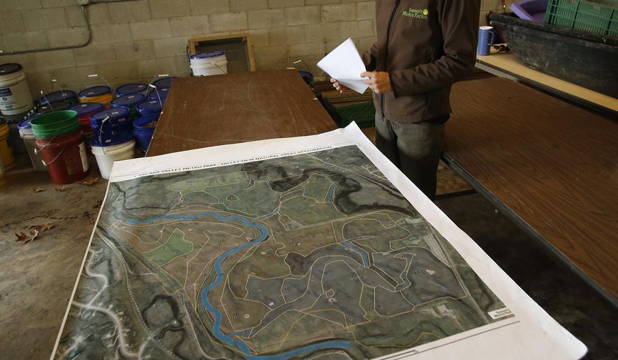 In this Oct. 23, 2017, photo, Nichole Lally, a biologist with the Summit County Metro Parks, looks over a map showing where various native tree nuts will be planted at the site of the former Valley View Golf Club in Akron, Ohio. (Karen Schiely/Akron Beacon Journal via AP)