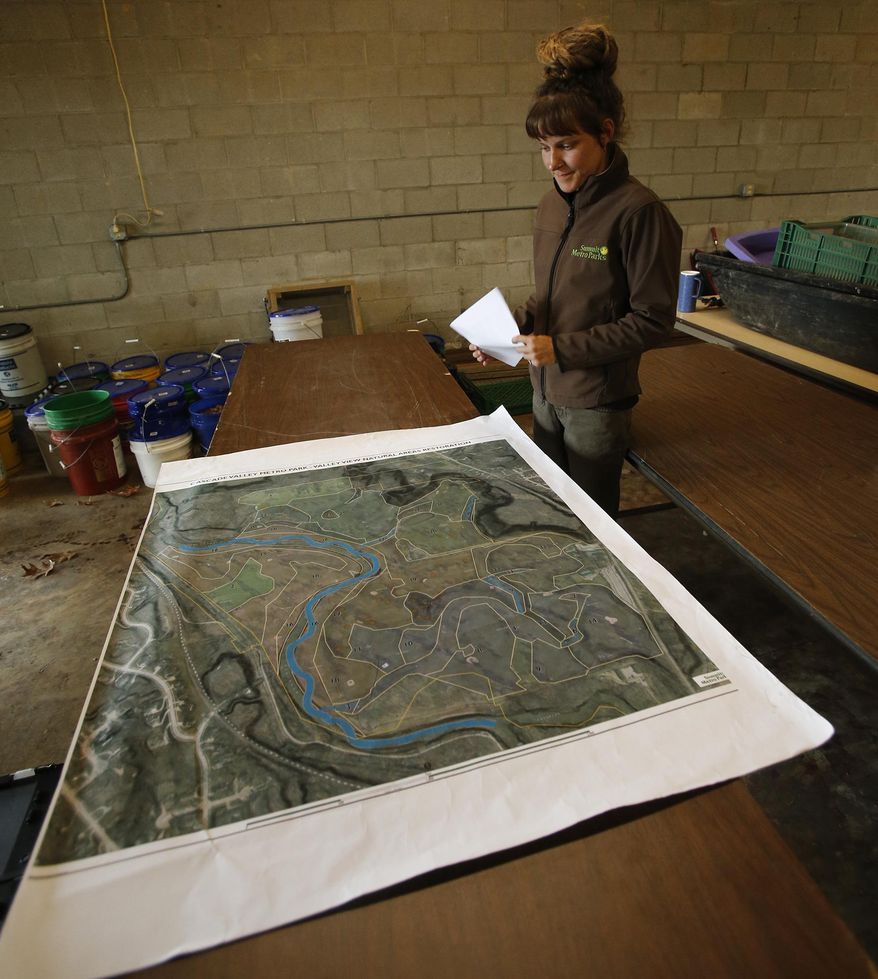 In this Oct. 23, 2017, photo, Nichole Lally, a biologist with the Summit County Metro Parks, looks over a map showing where various native tree nuts will be planted at the site of the former Valley View Golf Club in Akron, Ohio. (Karen Schiely/Akron Beacon Journal via AP)