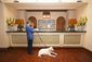 La Valencia Check in with Dogs.jpg