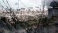 savingprivateryan-900.jpg