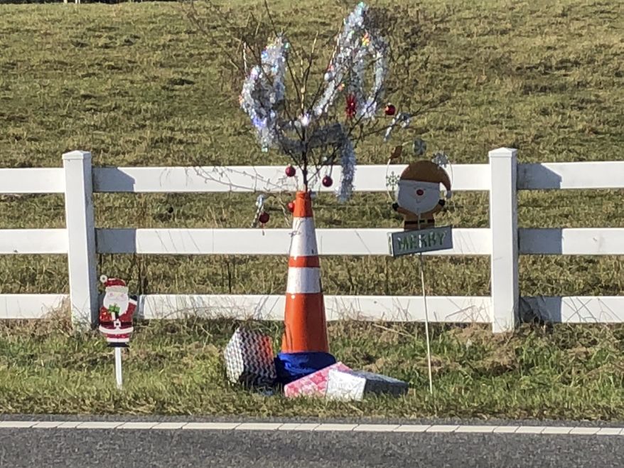 This photo provided by Bill Suthard shows an orange traffic cone with a weed growing out of it, decorated with tinsel and ornaments in Huntersville, N.C. The roadside attraction dubbed "Cone Weed" is something of a Christmas miracle to locals. The weed has been growing unencumbered across from the Huntersville Fire Station for a year and has amassed a cult following. The fire station tweeted pictures of Cone Weed decked in tinsel and ornaments last week. (Bill Suthard via AP)