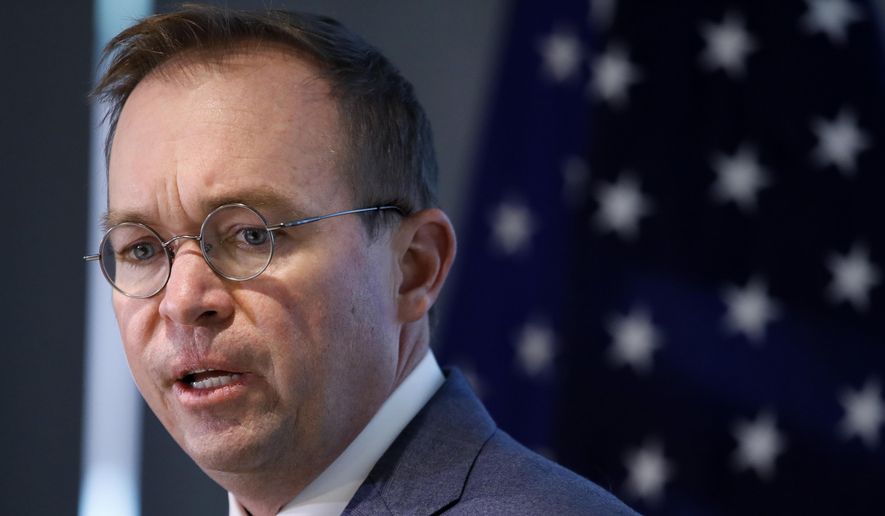 Consumer Financial Protection Bureau acting Director Mick Mulvaney says he is sorting through files on a case-by-case basis to &quot;make sure that we are not going beyond the mandate, that we are not abusing our position, and that we are not getting in the way of the proper functioning of the financial services and capital markets.&quot; (Associated Press/File)