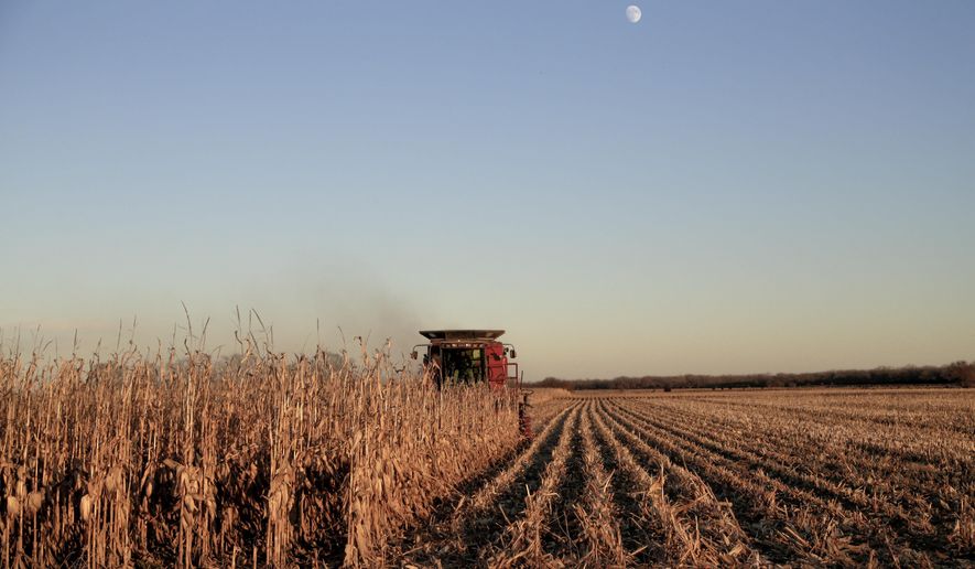 Corn is harvested near Schyler, Neb., Thursday, Nov. 30, 2017, in this file photo. A survey of bankers in rural parts of 10 Plains and Western states released in October 2019 showed an improved rural economy this month. (AP Photo/Nati Harnik) **FILE**