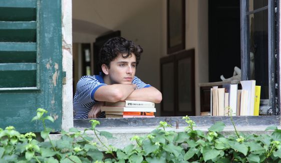 Timothee Chalamet plays a 17-year-old boy who becomes romantically involved with a 24-year-old man in the film &quot;Call Me By Your Name.&quot; The film has been called an &quot;erotic triumph&quot; and &quot;strikingly mistimed.&quot; (Associated Press)