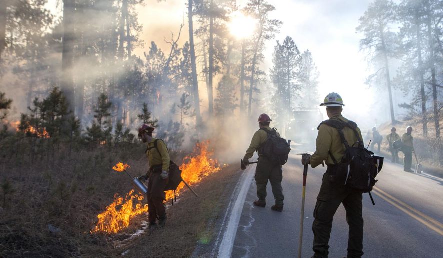 Firefighters use back burning to control the spread of a fire in Custer State Park in South Dakota on Tuesday, Dec. 12, 2017. High wind gusts are making it more difficult for firefighters to battle the blaze at the park in the Black Hills of South Dakota. (Hannah Hunsinger /Rapid City Journal via AP)